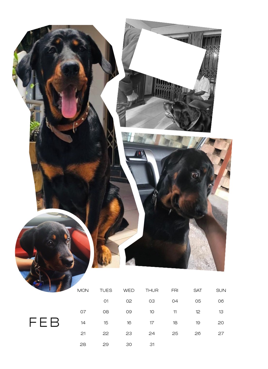 Gift Calendar — Month 2